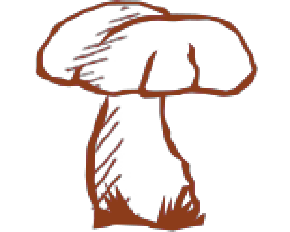 d.-sauvegarde-et-donneacute;es